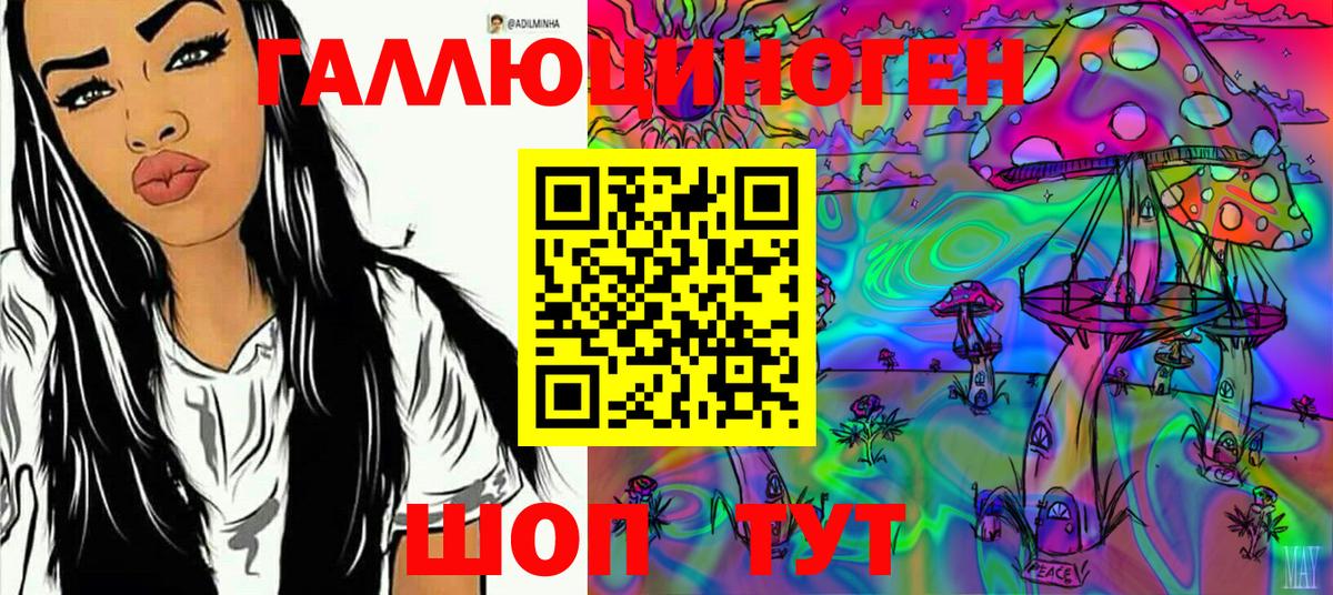 Галлюциногенные грибы мицелий  Псилоцибиновые грибы GOLDEN TEACHER  Вход с VPN  Долгопрудный 