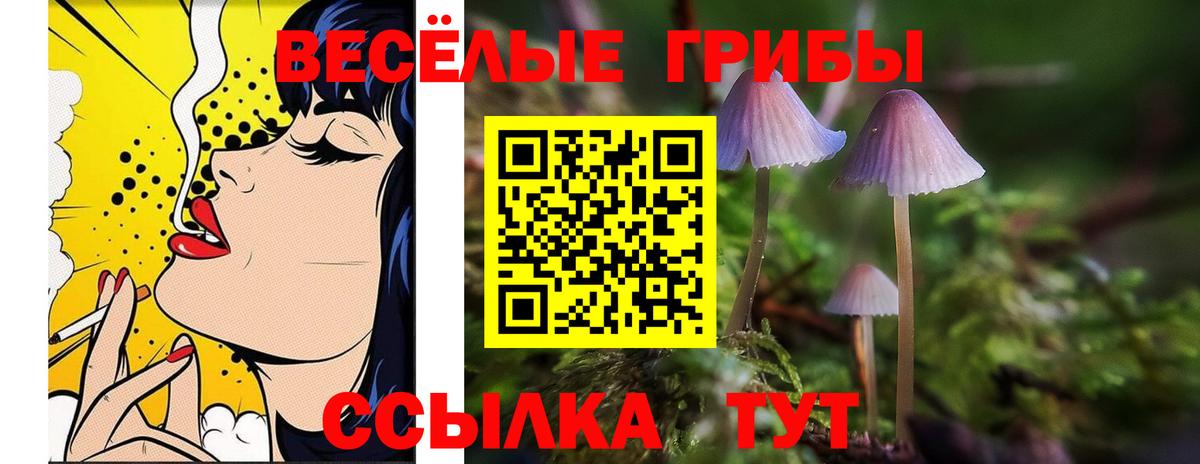 Псилоцибиновые грибы ЛСД Долгопрудный